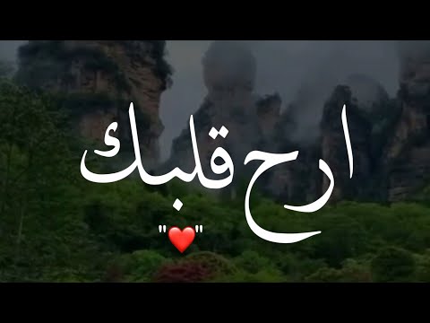 أجمل حالات واتس اب قرآن كريم بصوت ماهر المعيقلي صوت يريح القلب 