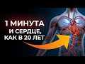 Лучшие приёмы для сердца омолодят сосуды за 1 минуту в день!