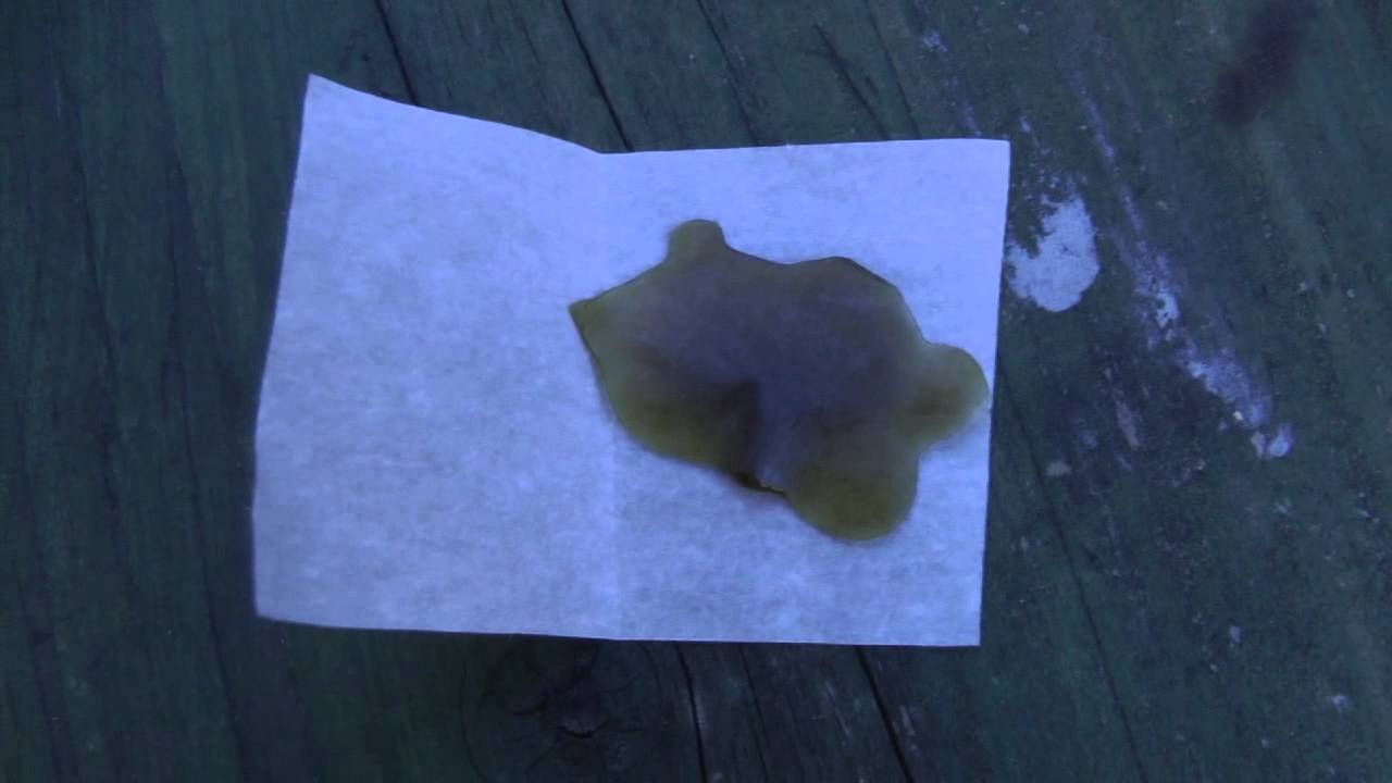 Canadian Concentrate Open The Entries