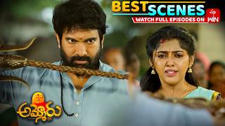 Ammoru Best Scenes : 16th April 2026 Episode Highlights | Watch Full Episode on ETV Win