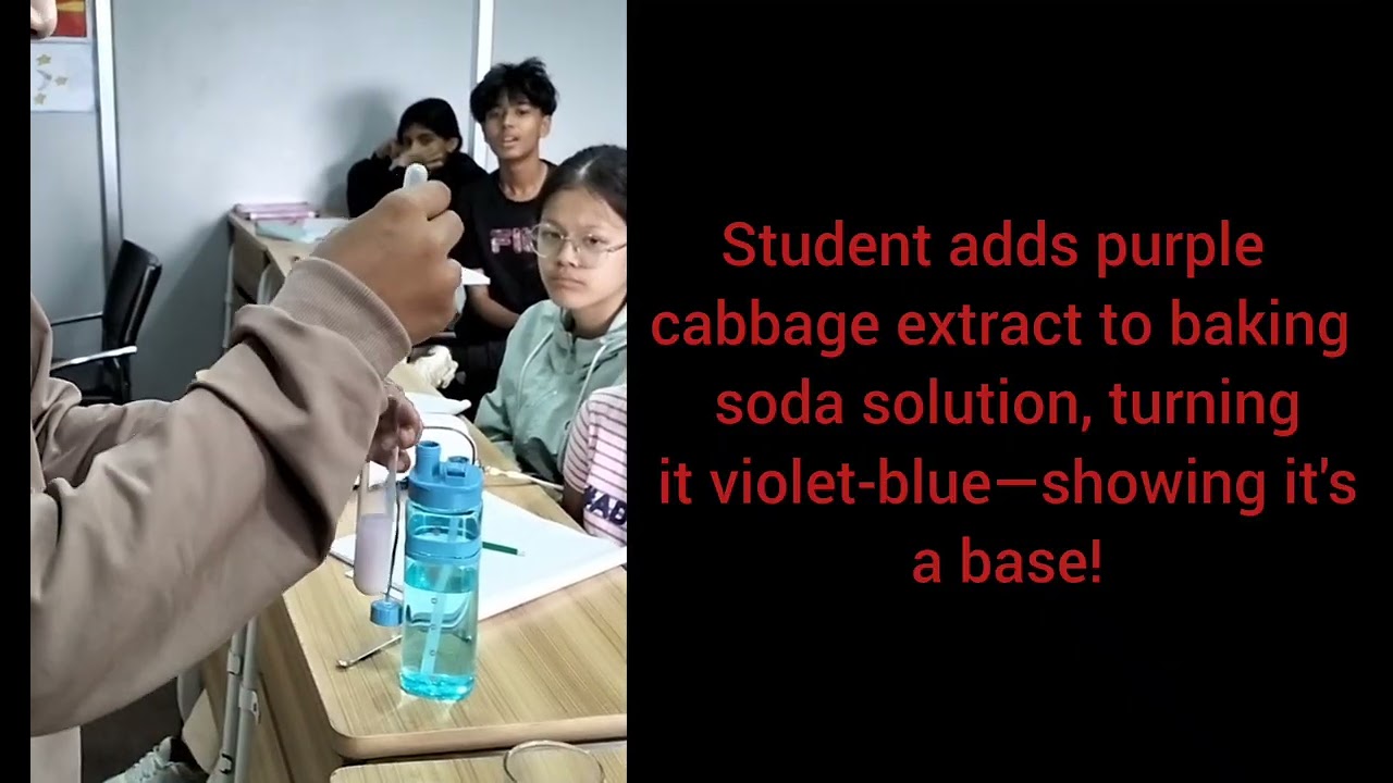 Purple cabbage as an indicator to test the pH of samples