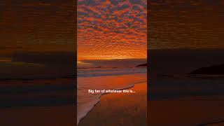 Soft Skies & Golden Waves — Byron Bay Sunrise Beauty 🌅✨ #NewSouthWales #byronbay #sunrise #australia Soft Skies & Golden Waves — Byron Bay Sunrise Beauty 🌅✨ #NewSouthWales #byronbay #sunrise #australia