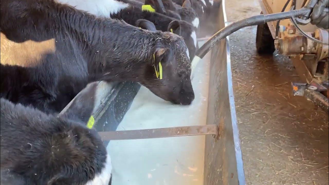POV video on the big husbandry Best farm equipment Hay for cows 🐮