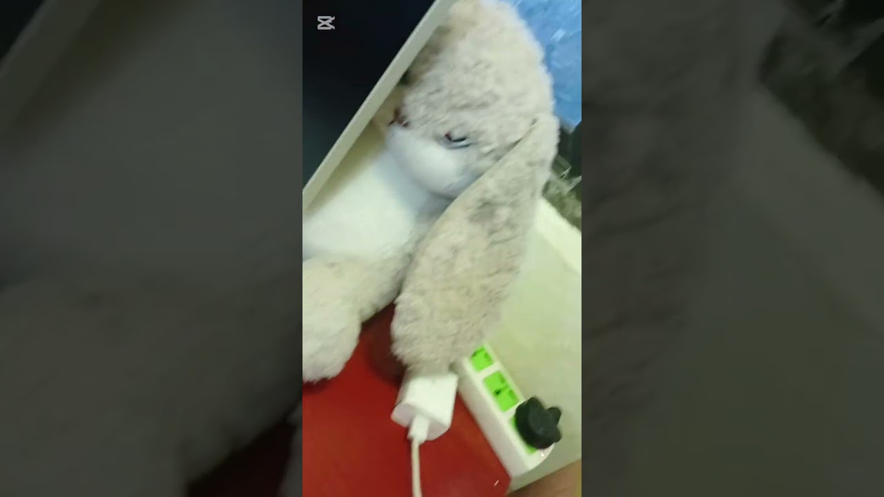 Furigana မပါပဲ Reading ဖတ်နည်း , N4 JLPT 2021 / 7 လပိုင်းမှာ ပါတဲ့ စာပိုဒ်တေကို ဥပမာပြ ဖြေပြထားပါတယ်