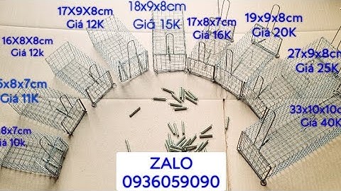 Lồng bẫy chuột đường mòn. Lồng bẫy chuột 2 cửa vào. Lồng bẫy sóc 2 cửa vào. Lò xo bẫy chuột. Lò xo.