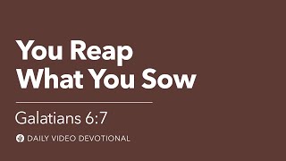 You Reap What You Sow | Galatians 6:7 | Our Daily Bread Video Devotional