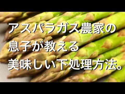アスパラ農家の息子が教える美味しい下処理方法。How to cook Asparagus from the farm. Food preparation method.