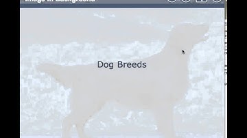 Xerte Title Page - 8 -  Recap