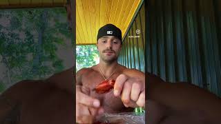 Haven’t had crawfish all season #usashorts #goviral