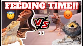 Feeding An Angry Bearded Dragon VS Feeding A Calm Beaded Dragon! *AVOIDING BITES!