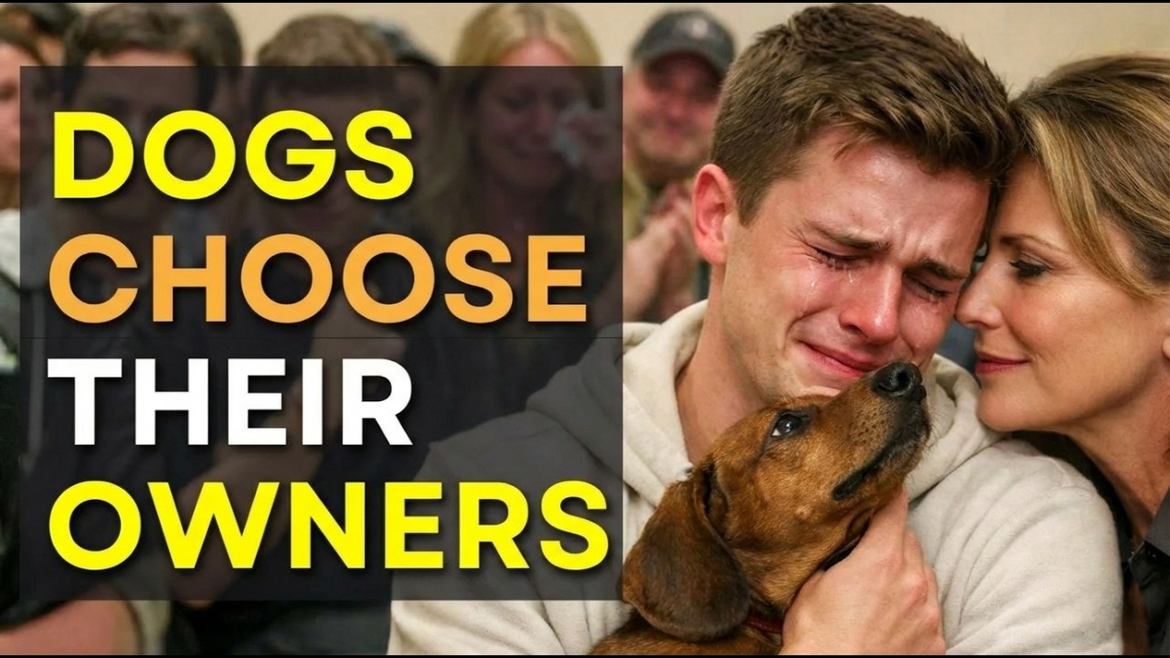 We Let the Dogs Decide Who to Adopt... 😢 And You Won't Believe THIS Moment 🐶❤️