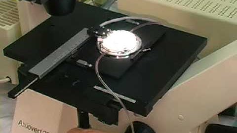 Bioptechs FCS2 System