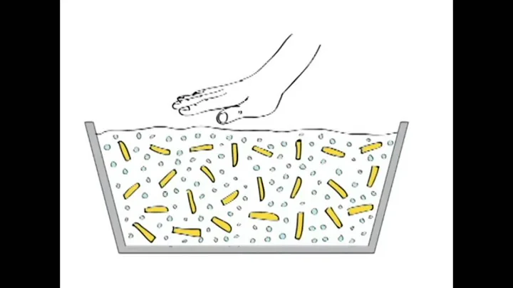 Non-Newtonian Fluids Explained