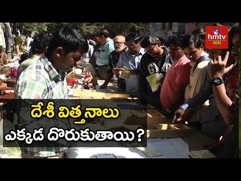 దేశీ విత్తనాలు ఎక్కడ దొరుకుతాయి? | Desi Seeds | hmtv Agri