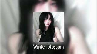 Dept(뎁트)- Winter blossom(Feat. Ashley Alisha, nobody likes you pat) [sped up]