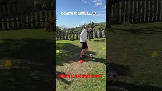 Cambi di ritmo #skills2024 #football #tricks #finte #footballskills #calcioshorts #soccer #sports