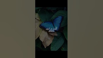 سورة لقمان.#القرآن_الكريم #تلاوة_خاشعة #راحة_نفسية #foryou #اكسبلور #quran #fyp #ارح_قلبك