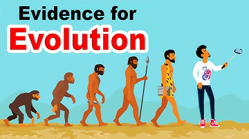 Evidence for Evolution | What is the Evidence for Evolution? | Home Revise