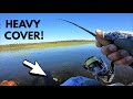 Catching BIG Smallmouth Out of THICK Reeds!!