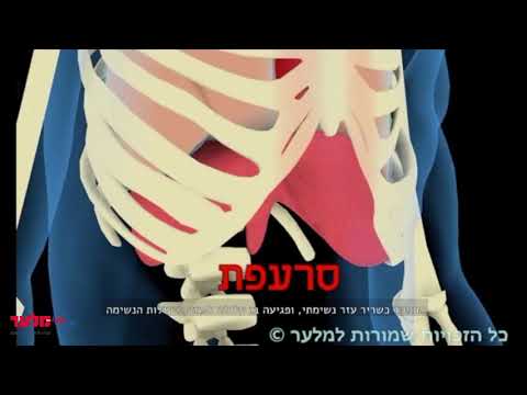 וִידֵאוֹ: מה זה תת-דיאפרגמטי ימין?