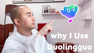 Why I Use Duolingo to Learn English Instead of Other Apps screenshot 3
