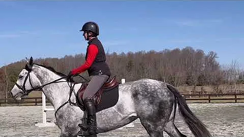 Boyd Martin clinic SJ 11/19/22