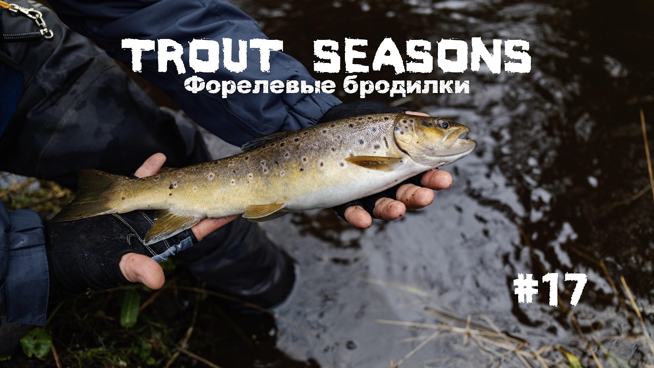 Trout Seasons #17 - Лучшая рыбалка года №2.