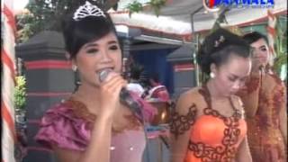 PAMBUKO - CAMPURSARI NEW MARINA _ALL ARTIS