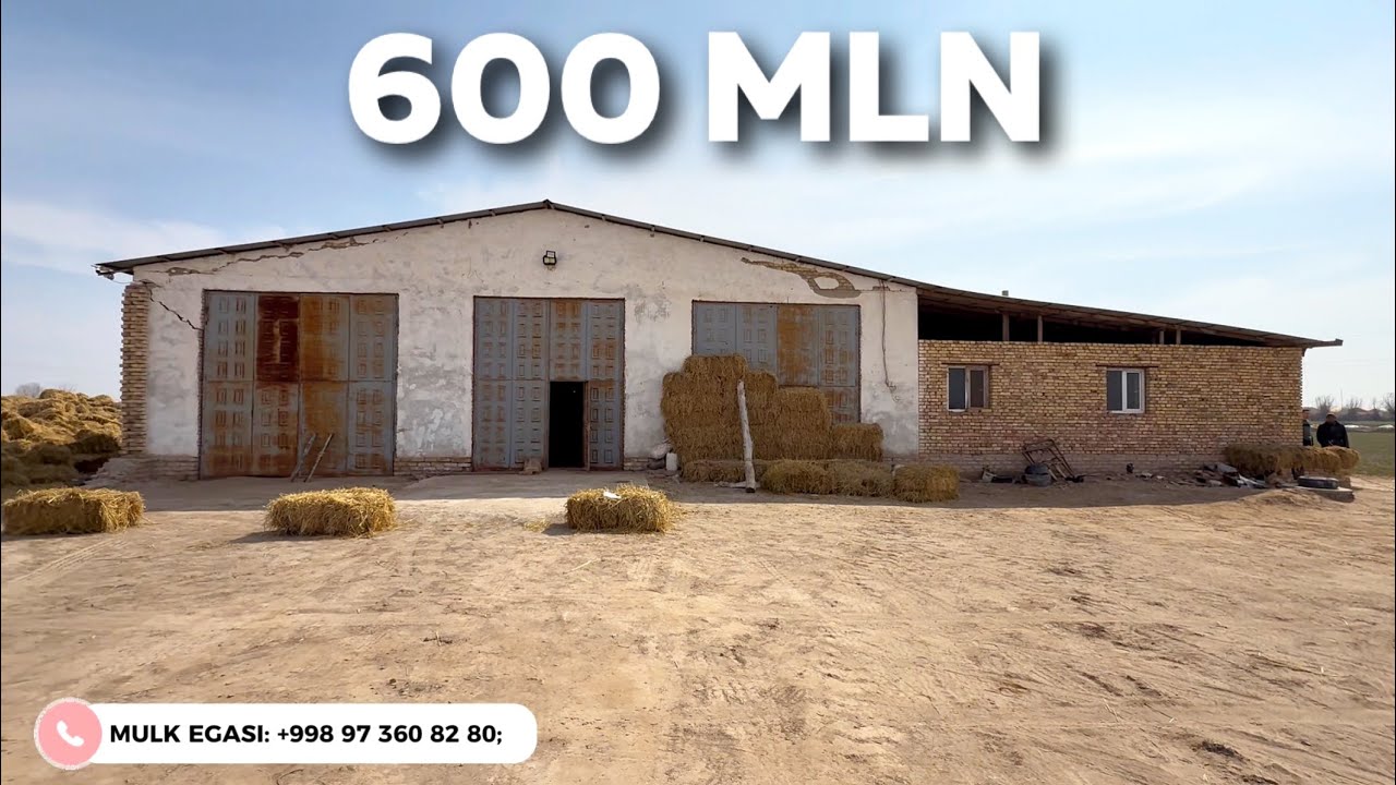 1,5 GEKTARDA JOYLASHGAN FERMA SOTILADI O'ZINI MALLAKI BILAN!