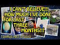 How Many Projects Can Done Beginner Carver In Three Months mp3
