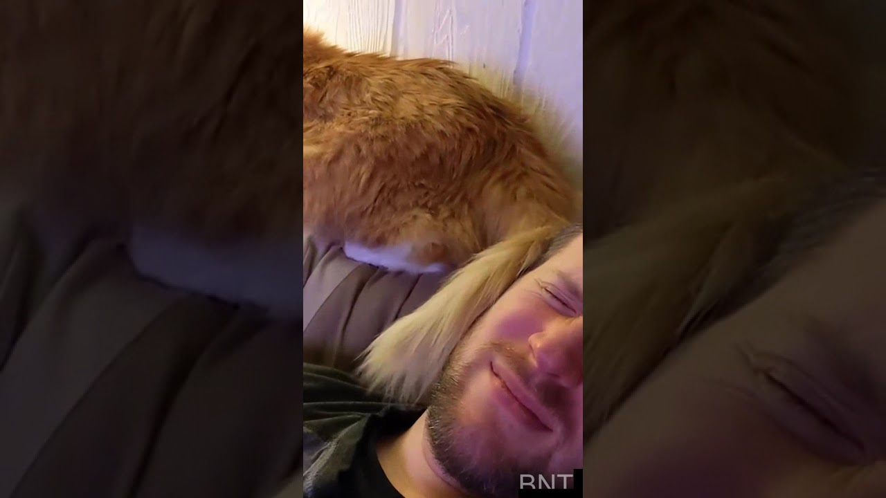 Wait for the big brain move! 🤣 #pets #viral