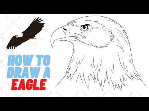 How to draw an Eagle | Как нарисовать Орла