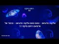 אלקנה מרציאנו טאם טאם אלקנה מרציאנו בכבוד של מרציאנו רותם מיקס Dj אלקנה מרציאנו טאם טאם אלקנה מרציאנו בכבוד של מרציאנו רותם מיקס Dj
