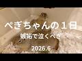 とにかくかまちょなぺぎちゃんの１日です