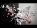 ♈ÁRIES🌹AS PORTAS SE ABREM PARA UM NOVO MOMENTO!