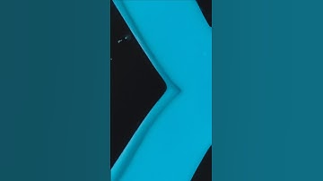 Can you guess what this macro photo is? Day 407