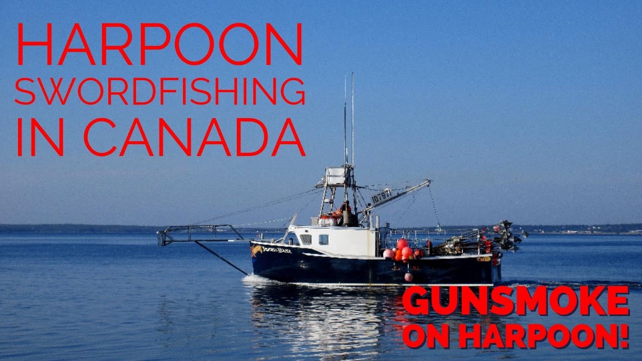 Swordfish Fishing YouTube