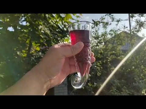 Домашнее вино из