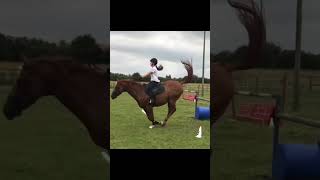 Download Lagu Pov: your a equestrian #horses #horsefalls MP3