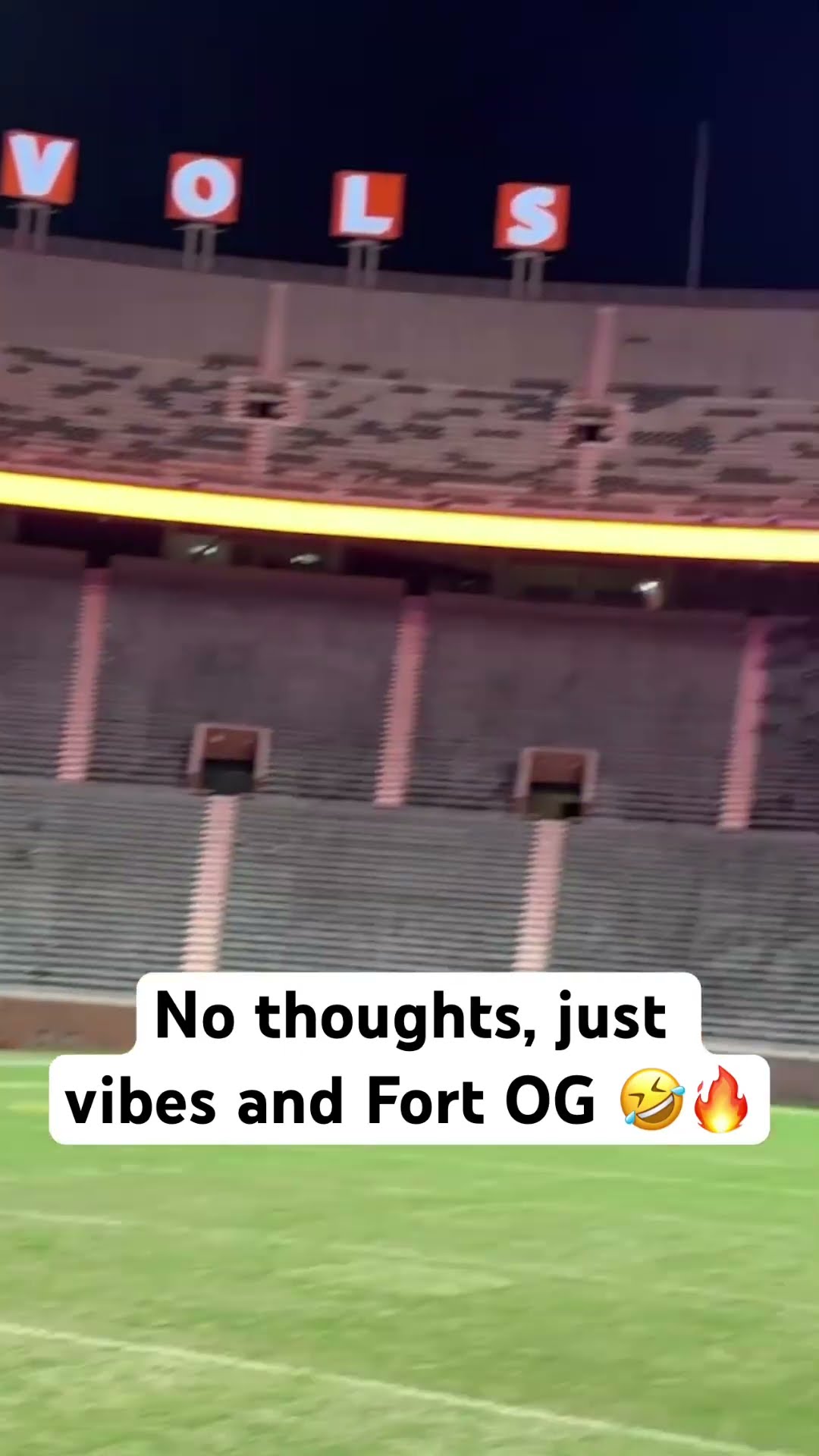 No Thoughts, just vibes and Fort OG ?