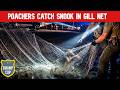 Poachers Gill Net Snook!!! That's a Felony.