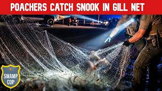 Poachers Gill Net Snook!!! That's a Felony.