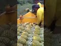 Pineapple 😯😯😯 #pineapple #funny #short