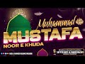 Muhammad mustafa noor e khuda  by sayyed kaifi ali qadri razavi  new trending kalam  trending