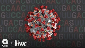 The coronavirus is mutating. Now what?