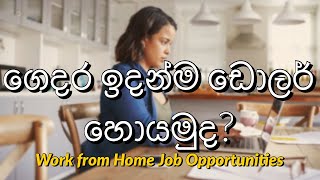 Work from Home Job Opportunities | විදේශ රටක රැකියා කරලා ඩොලර් හොයමුද ? | Worldwide Jobs Sinhala