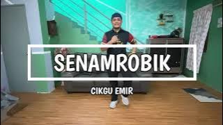 RANGKAIAN LANGKAH SENAMROBIK MUDAH UNTUK AKTIVITI PJ