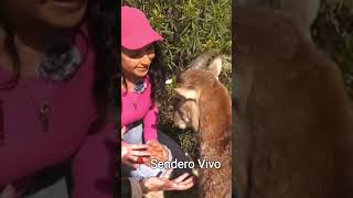 Rutas De Naturaleza Por La