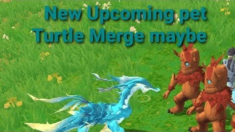 New Upcoming Turtle pet \\ Maybe Turtle Merge \\ Utopia Origin