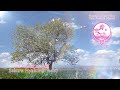 #SakuraGakuin - さくら百人一首 Sakura Hyakunin Isshu - 非公式ビデオ Unofficial Video
